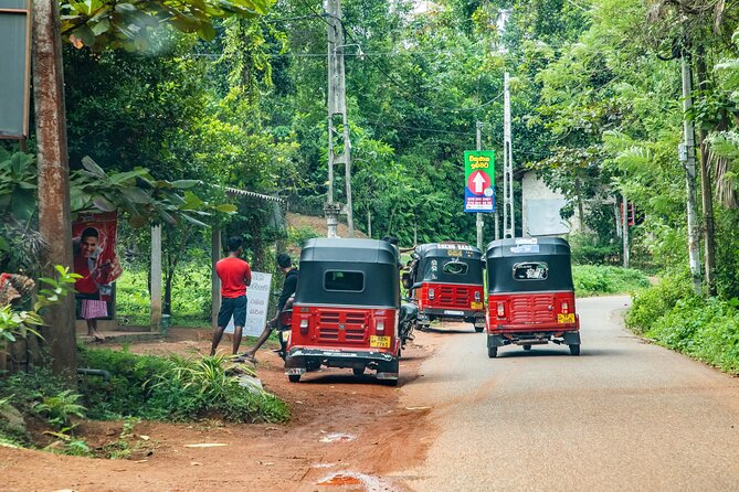 Private Tour Tuk-Tuk Adventures Rainforest and Beach Hopping - Good To Know