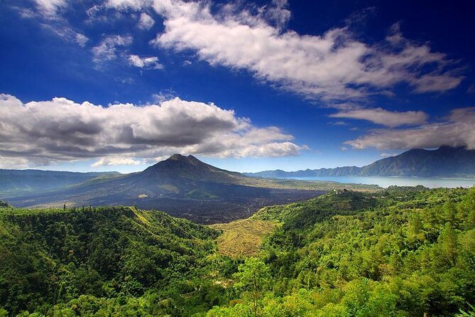 Private Tour: Waterfall, Kintamani Volcano, Ubud Tour With Lunch