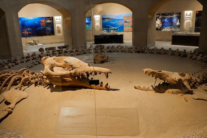 Private Tour Whales Valley And Wadi El Rayan Waterfalls In El Fayoum From Cairo