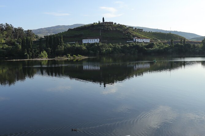 Private Tour With 3 Wineries and Viewpoint - Pricing and Booking
