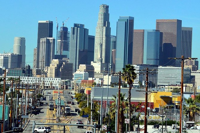 Private Transfer: Anaheim Resort Area to LAX Airport in SUV