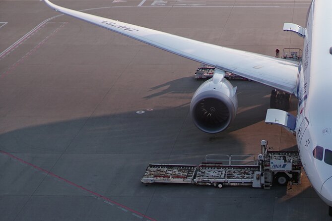 Private Transfer From Cairo Airport to Your Hotel in Cairo - Service Animals and Passenger Requirements