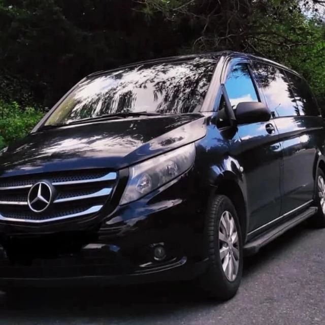 Private Transfer From Istanbul Airport - Service Details