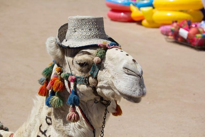 Private Transfer From Luxor to Hurghada - Good To Know