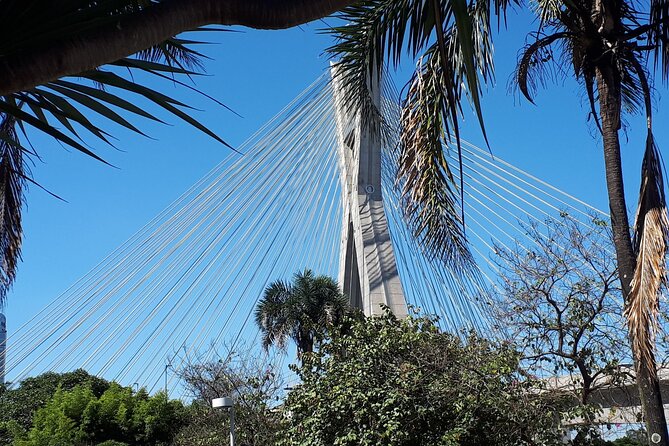 Private Transfer From São Paulo Airport to Hotels Quick City Tour