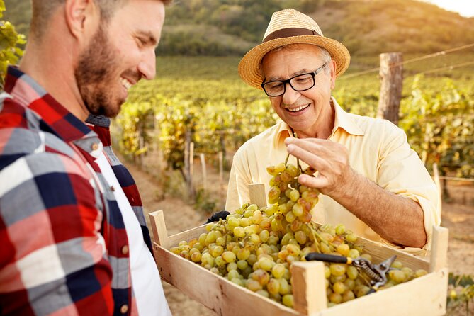 Private Transfer From Sonoma to SFO