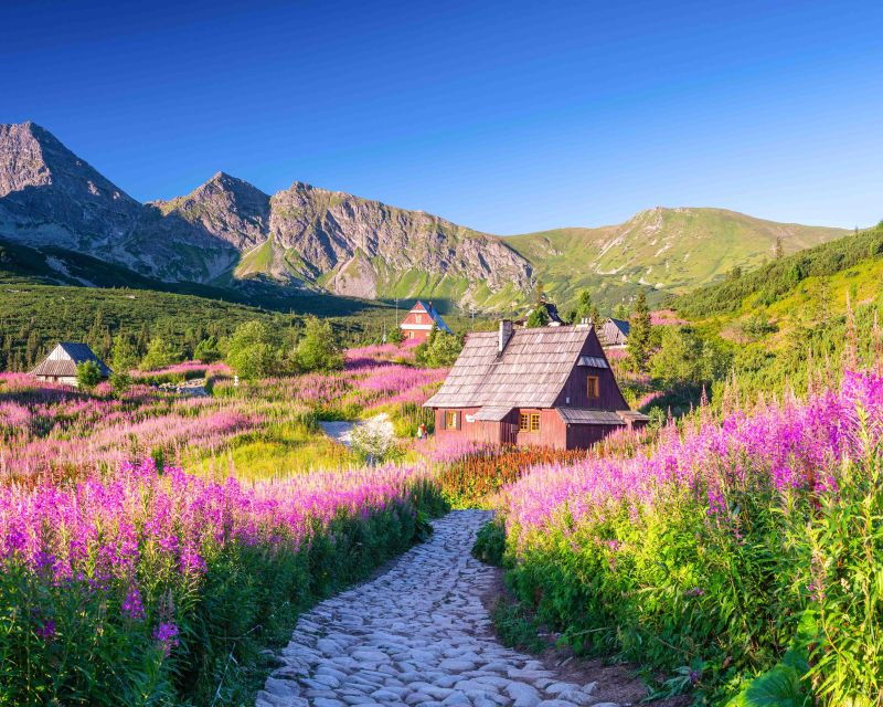Private Transfer Krakow Airport - Zakopane (Tatra Mountain) - Good To Know