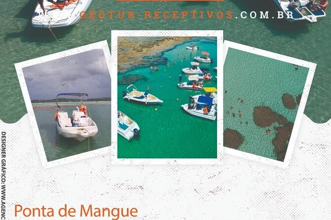 Private Transfer Maragogi to Recife From 01 to 06 Pax by Geo Tur Receptives - Good To Know