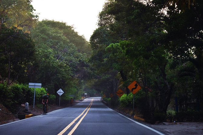 Private Transfer Service: Palomino to Santa Marta