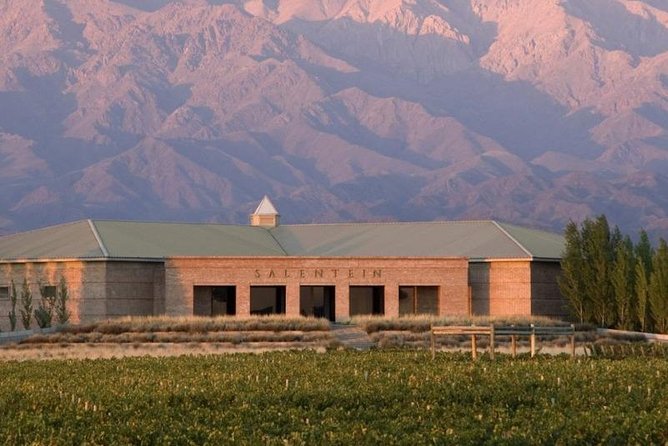 Private Transfer Wineries Valle De Uco