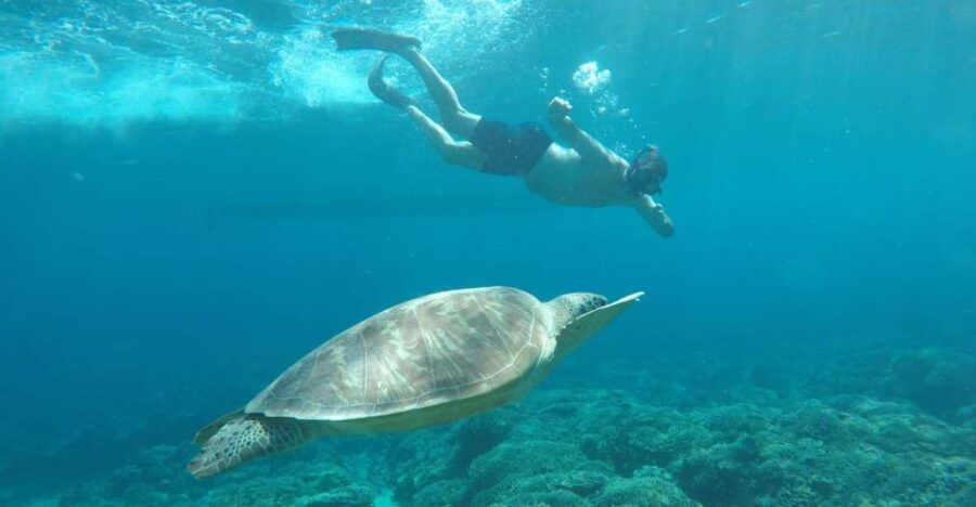 Private Trip 3 Islands 4 Hours With Gopro Camera Included