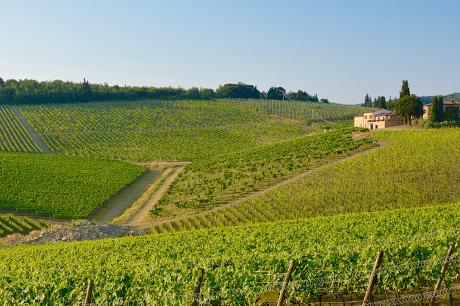 Private Tuscany Excursion. Florence American Cemetery, Greve in Chianti, Winery - Key Highlights of the Private Tuscany Excursion