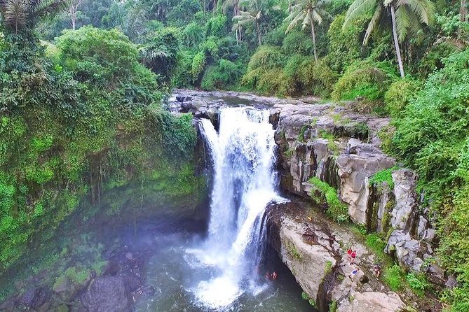 Private Ubud and Volcano Day Trip - Good To Know
