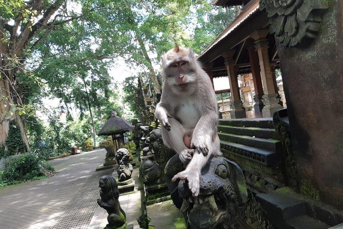 Private Ubud Full Day Tour: All Inclusive - Good To Know