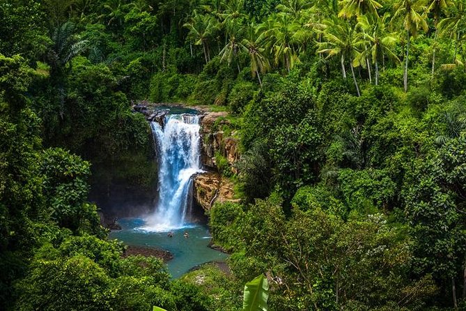 Private Ubud Tour Car Charter And Customs Itinerary - Good To Know