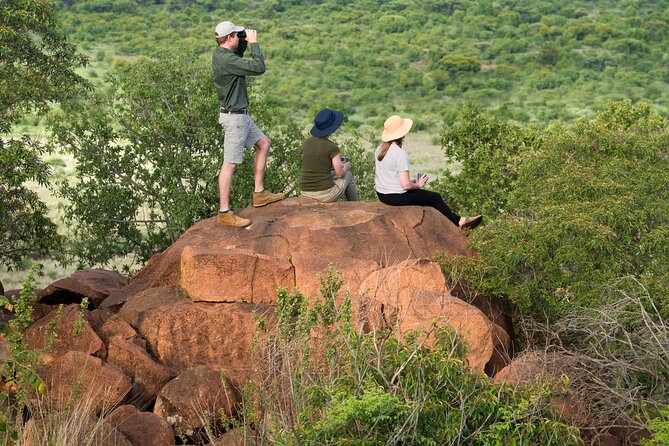 Private Ultimate Pilanesberg Safari From Johannesburg