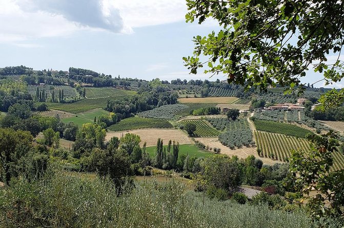 Private Umbria Wine Day Trip From Assisi  – Perugia