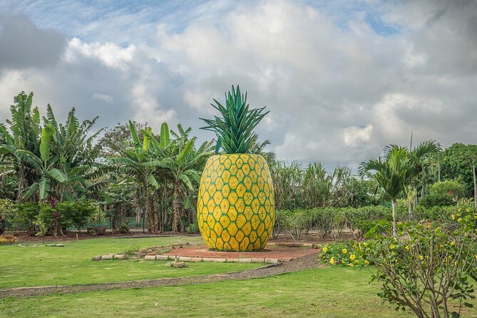 Private VIP Limousine Tour “Dole Plantation” & the “North Shore”