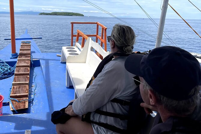 Private Whale Shark, Island Hopping and Waterfall With Transport - Good To Know
