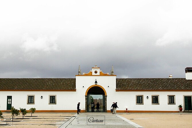 Private Wine & Food Tour in Alentejo - Good To Know