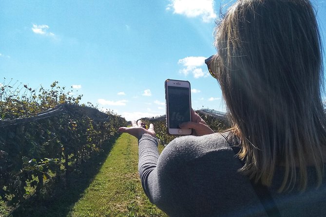 Private Wine Tour - Calamuchita - Good To Know