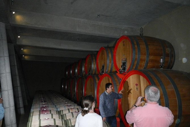 Private Wine Tour in Valparaíso - Good To Know