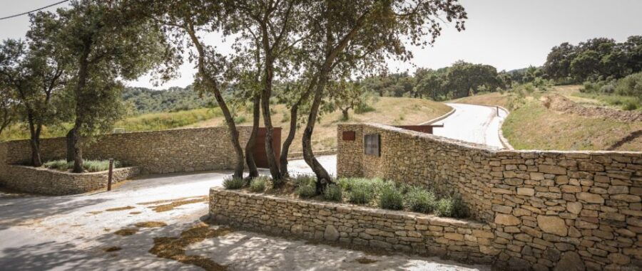 Private Winery Tour and Visit to Ronda - Good To Know