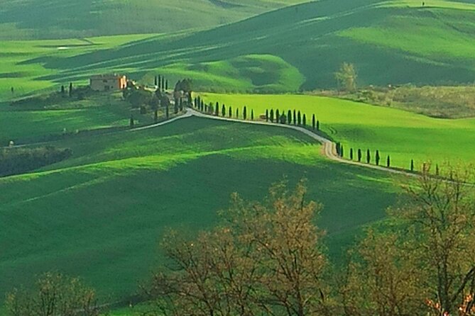 Private Winery Tour of Montepulciano, Pienza & Montalcino (Feb )