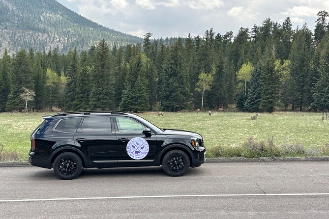 Private Winter Tour in Rocky Mountain National Park