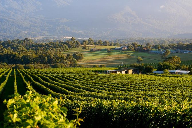 Private Yarra Valley Tour