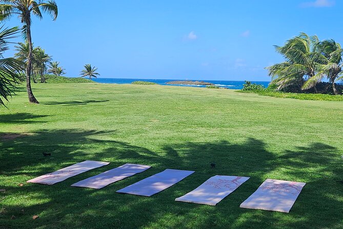 Private Yoga Class at the Beach With Transportation From San Juan