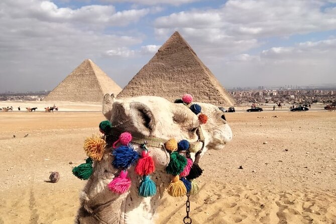 Privet Tour Giza Pyramids ,Sphinx and Saqqara - Good To Know