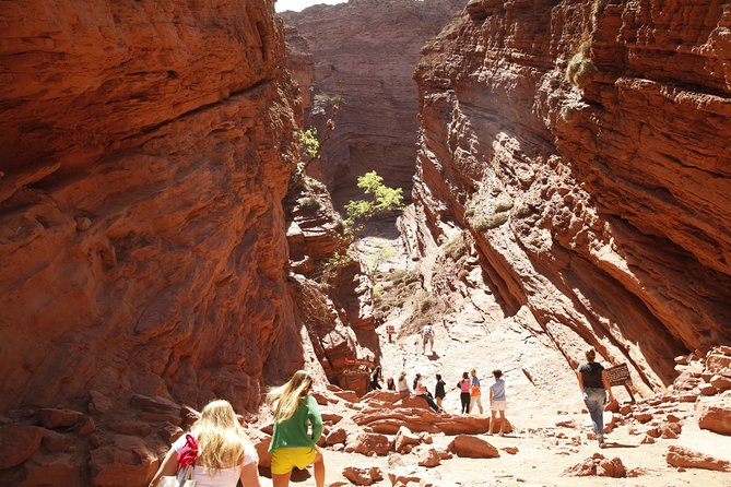 Promotion of 3 Excursions: Cafayate Cachi Salinas