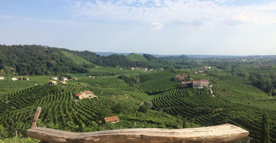 Prosecco: Wine Tour & Tasting Along the Unesco Hills - Good To Know