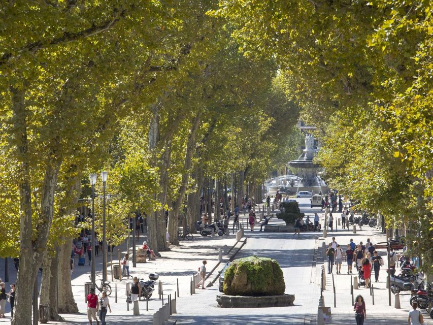 Provence, Vineyards & Lavender Fields Private Day Trip