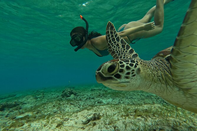 Public Snorkeling 3 Islands