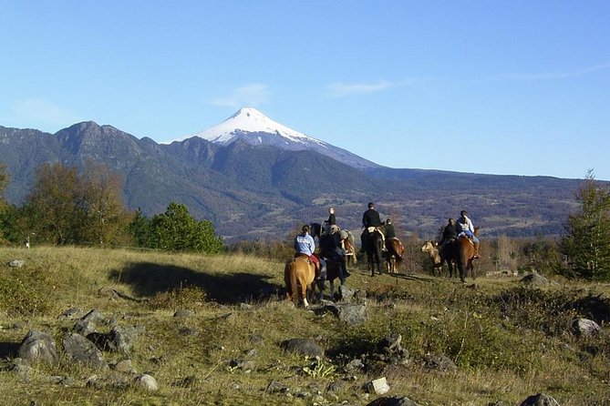 Pucon, Chile: Horseback Trail Riding Excursion - Pucón
