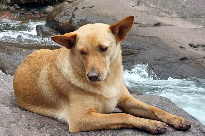 Puddles and Waterfalls - Good To Know