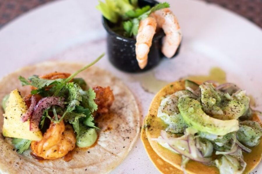 Puerta Vallarta: Seafood Lover's Food Tour - Good To Know