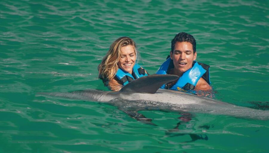 Puerto Aventuras: Amazing Dolphin Encounter With Lunch - Good To Know