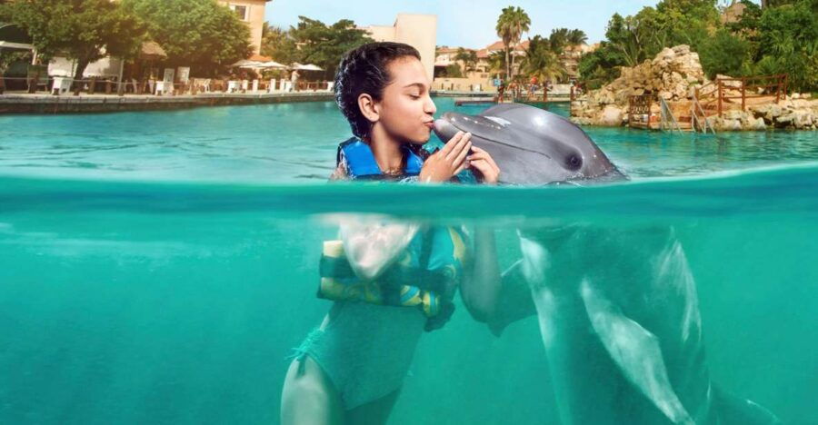 Puerto Aventuras: Dolphin Encounter With Buffet Lunch - Good To Know