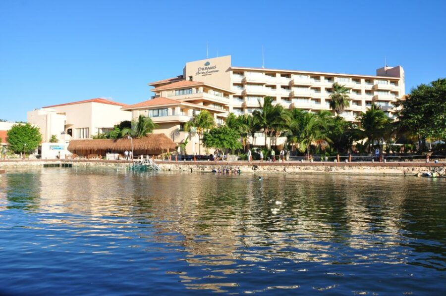 Puerto Aventuras: Dolphin Royal Swim & Kayaking With Buffet