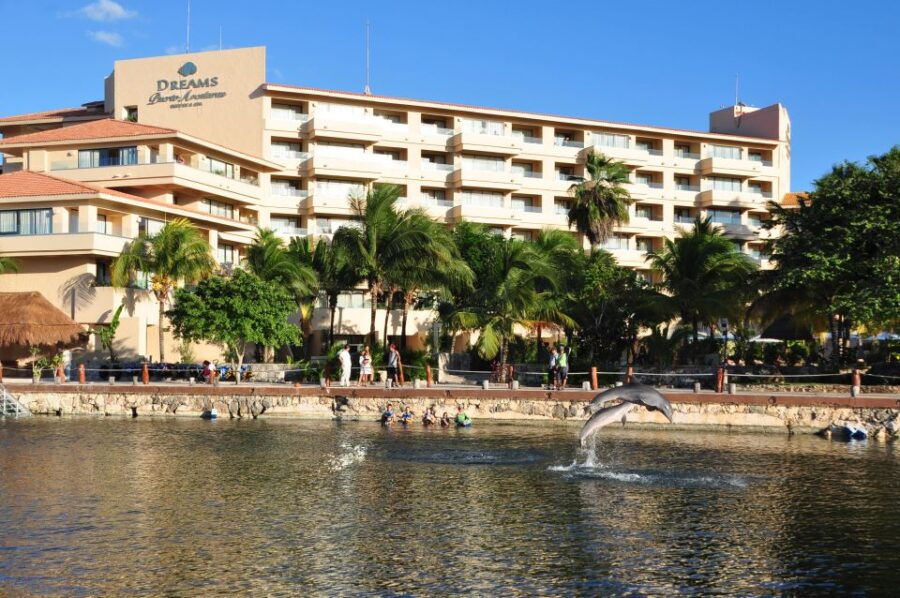 Puerto Aventuras: Dolphin Swim Adventure - Ticket Details