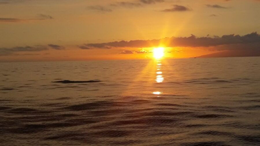 Puerto Colon: Whale-Watching Sailing Tour With Meal & a Swim - Good To Know