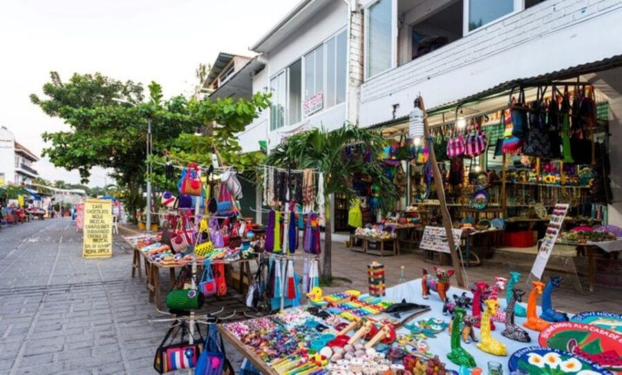 Puerto Escondido: Boat Cruise and Market Visit - Good To Know