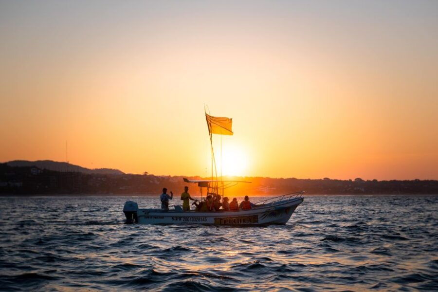 Puerto Escondido: Dolphin Watching - Good To Know