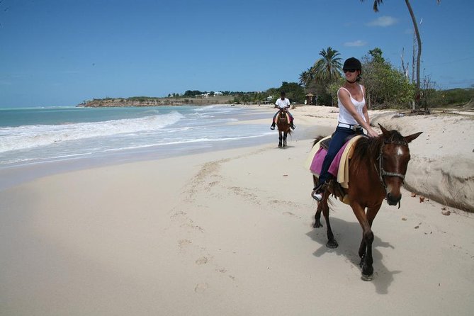 Puerto Plata: Beach Half Day Horseback Riding - Tour Details