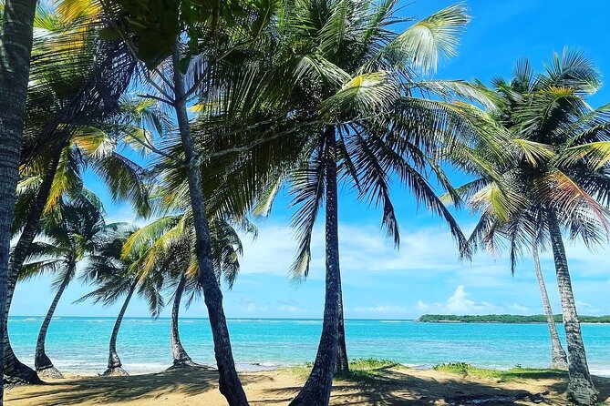 Puerto Rico Hidden Spring Swim and Beach Snorkeling Tour - Good To Know