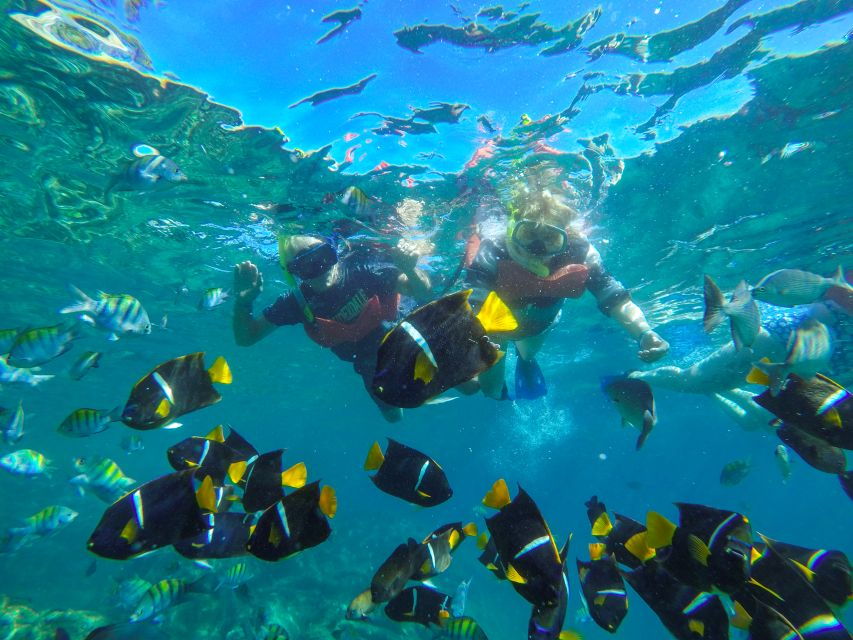 Puerto Vallarta: Luxury Day Sailing Tour of Bay of Banderas - Good To Know