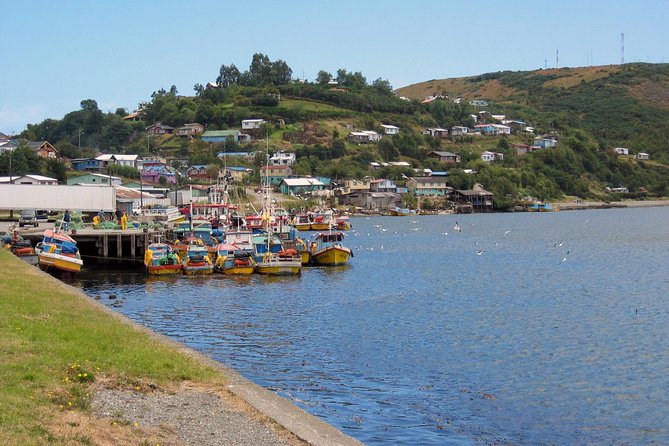 Puerto Varas: Full-Day Tour Chiloe Island: Ancud - Castro and Dalcahue